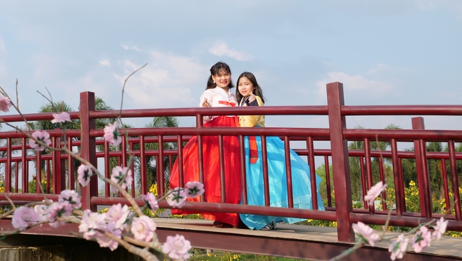 Đón xuân tại chùa Tây Pháp, Tây Ninh