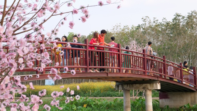 Đón xuân tại chùa Tây Pháp, Tây Ninh
