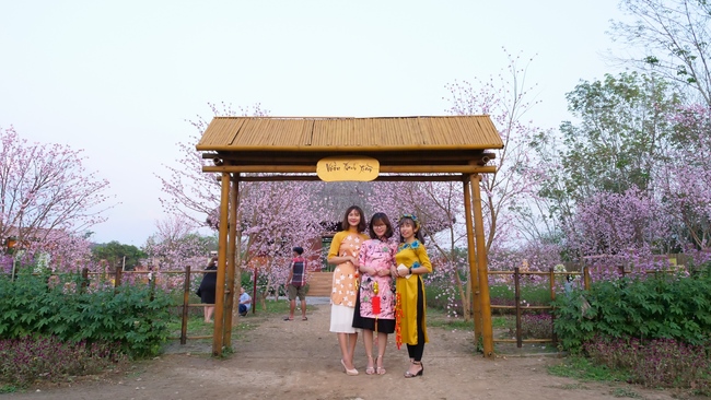 Đón xuân tại chùa Tây Pháp, Tây Ninh