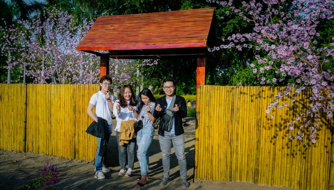 Đón xuân tại chùa Tây Pháp, Tây Ninh