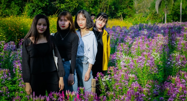 Đón xuân tại chùa Tây Pháp, Tây Ninh