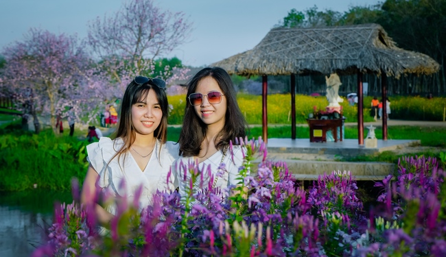 Đón xuân tại chùa Tây Pháp, Tây Ninh