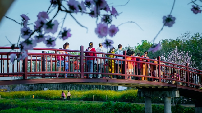 Đón xuân tại chùa Tây Pháp, Tây Ninh