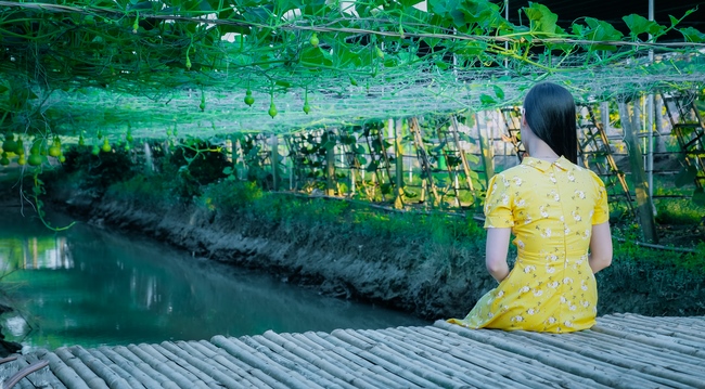 Đón xuân tại chùa Tây Pháp, Tây Ninh