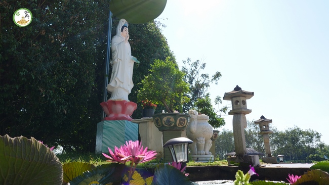 Đón xuân tại chùa Tây Pháp, Tây Ninh