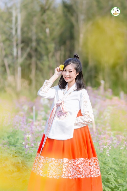 Đón xuân tại chùa Tây Pháp, Tây Ninh