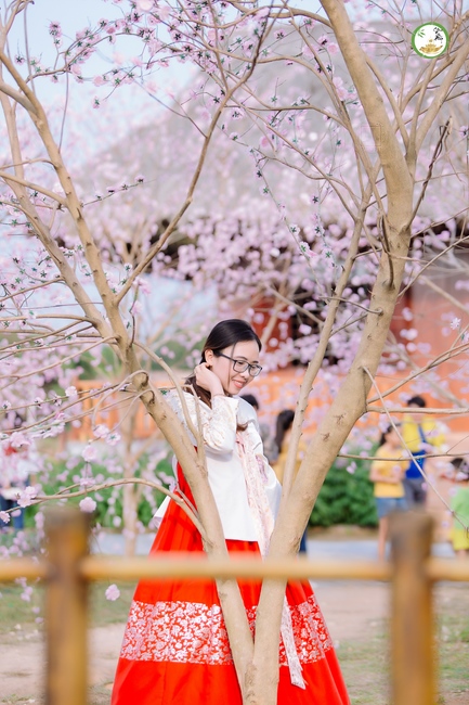 Đón xuân tại chùa Tây Pháp, Tây Ninh