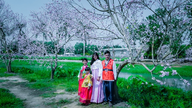 Đón xuân tại chùa Tây Pháp, Tây Ninh