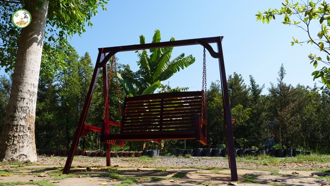 Đón xuân tại chùa Tây Pháp, Tây Ninh