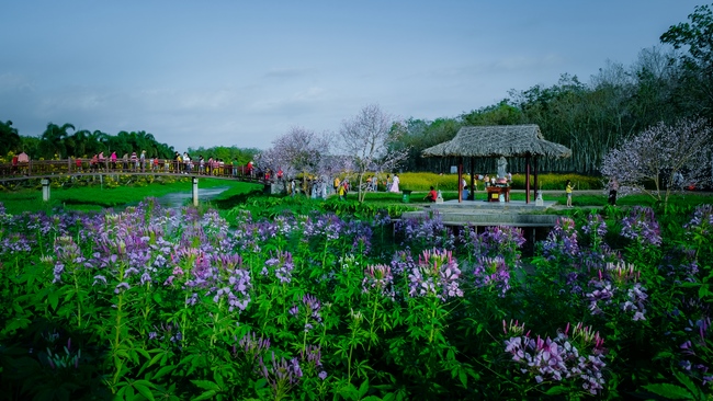 Đón xuân tại chùa Tây Pháp, Tây Ninh