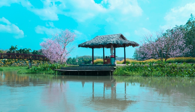 Đón xuân tại chùa Tây Pháp, Tây Ninh