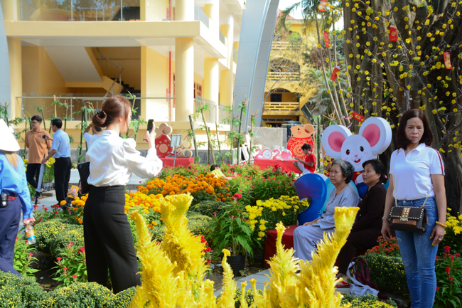 Series of photos on the 2nd day of Tet Holiday