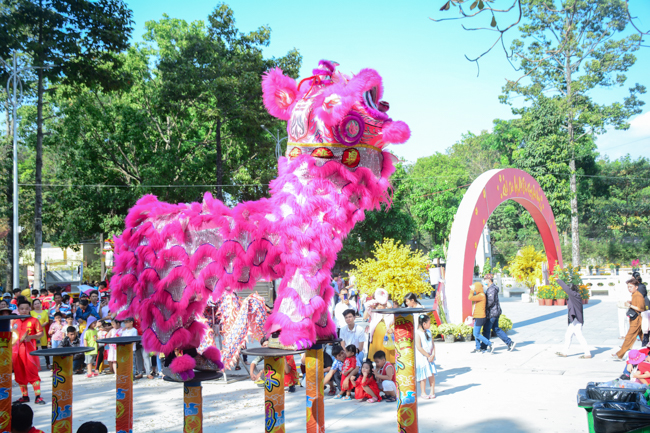 Series of photos on the 2nd day of Tet Holiday