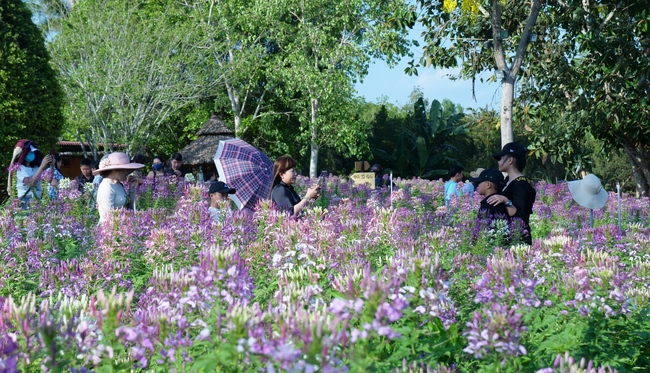 Chùm ảnh mồng ba Tết tại chùa Tây Pháp