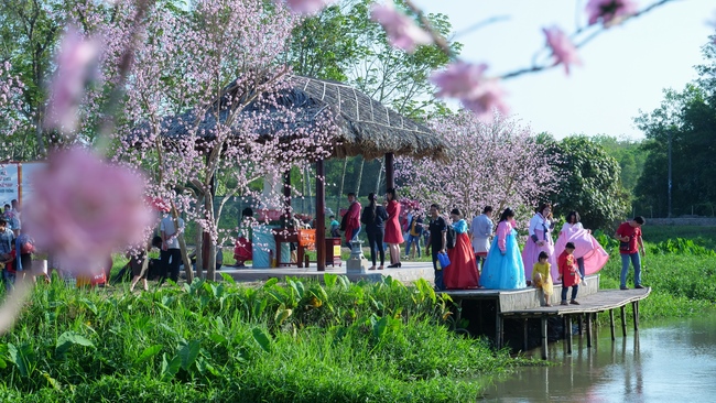 Chùm ảnh mồng ba Tết tại chùa Tây Pháp