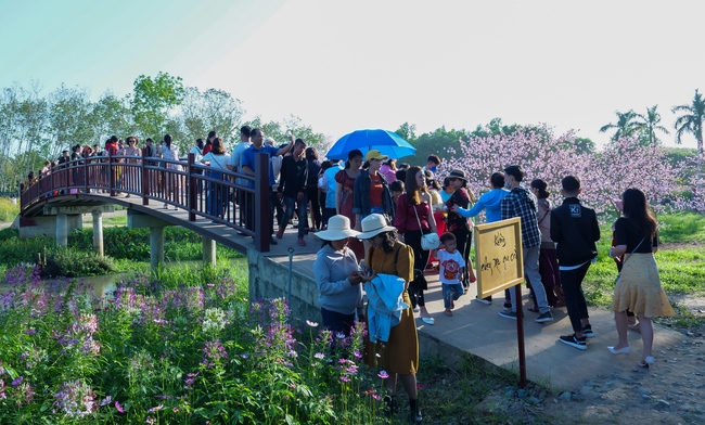 Chùm ảnh mồng ba Tết tại chùa Tây Pháp