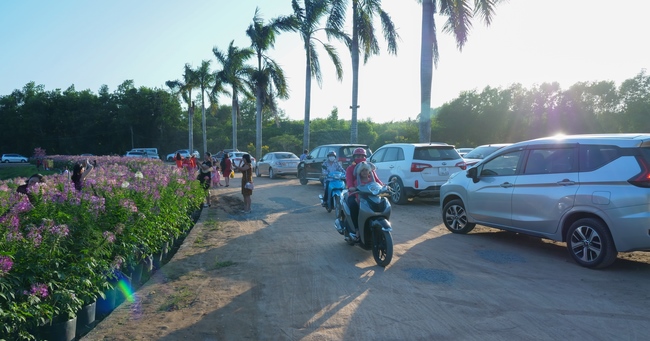 Chùm ảnh mồng ba Tết tại chùa Tây Pháp