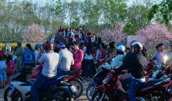 Chùm ảnh mồng ba Tết tại chùa Tây Pháp