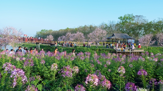 Chùm ảnh mồng ba Tết tại chùa Tây Pháp