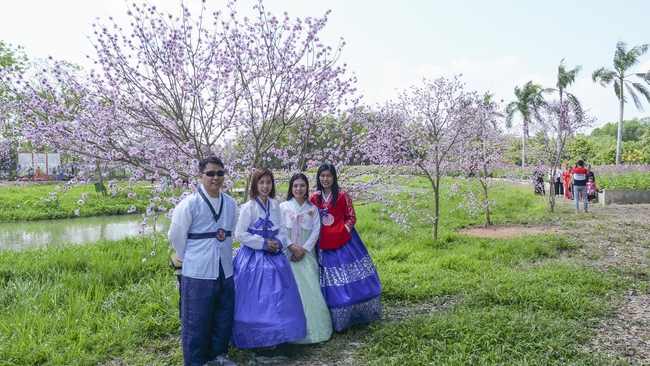 Chùm ảnh mồng ba Tết tại chùa Tây Pháp