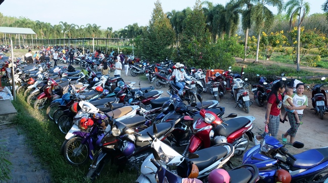 Chùm ảnh mồng hai Tết tại chùa Tây Pháp