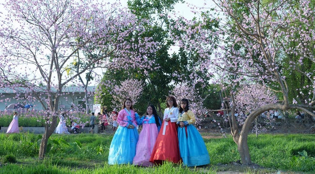 Chùm ảnh mồng hai Tết tại chùa Tây Pháp