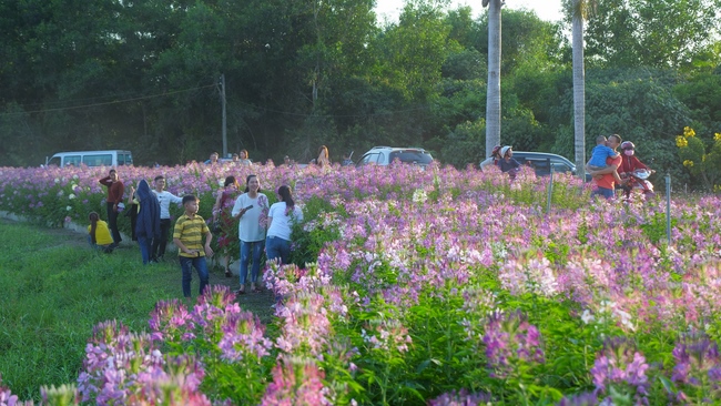 Chùm ảnh mồng hai Tết tại chùa Tây Pháp
