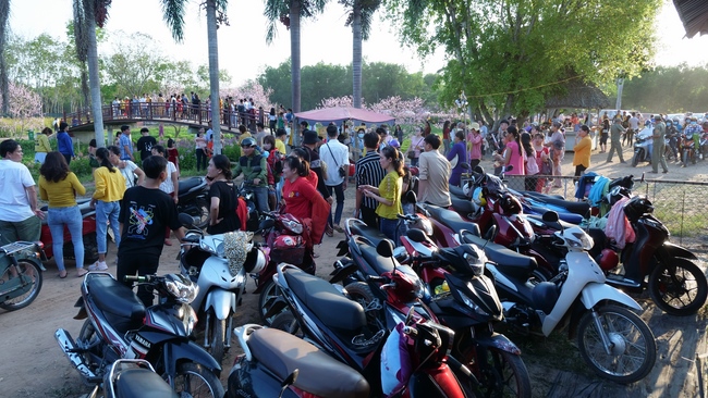 Chùm ảnh mồng hai Tết tại chùa Tây Pháp