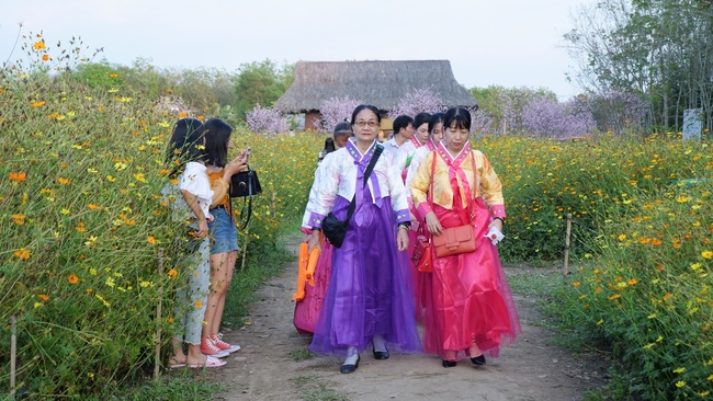 Chùm ảnh mồng hai Tết tại chùa Tây Pháp