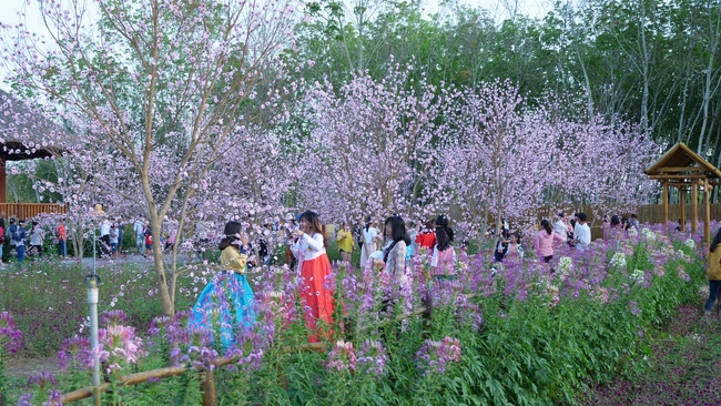 Chùm ảnh mồng hai Tết tại chùa Tây Pháp