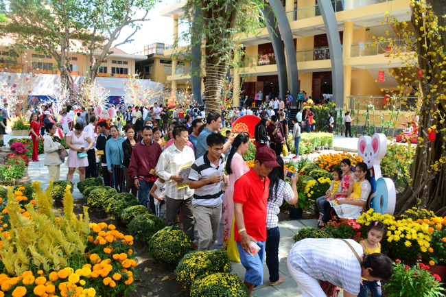 Series of photos on the 3rd day of Tet Holiday