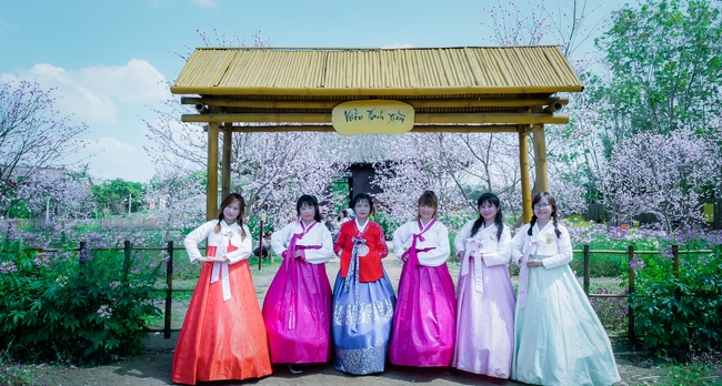 Chùm ảnh mồng bốn Tết tại chùa Tây Pháp