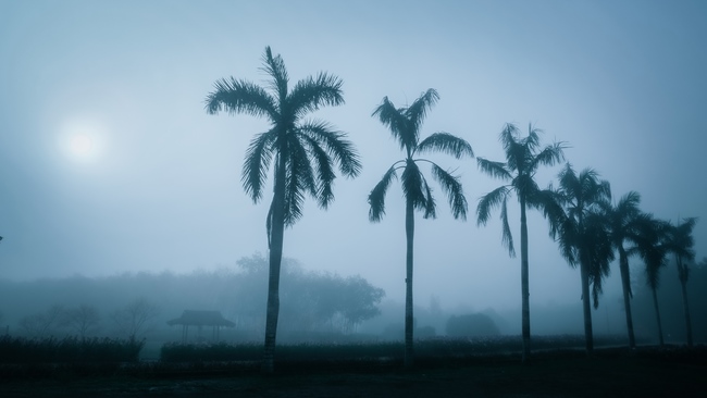 Chùm ảnh mồng bốn Tết tại chùa Tây Pháp