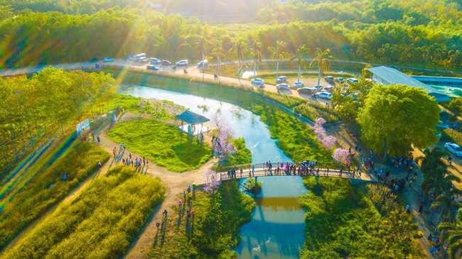 Chùm ảnh mồng bốn Tết tại chùa Tây Pháp