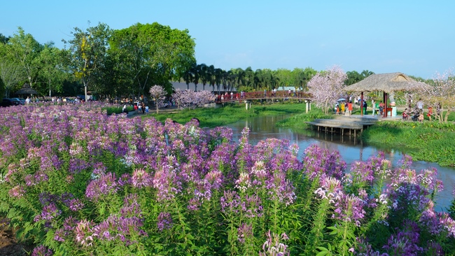 Chùm ảnh mồng bốn Tết tại chùa Tây Pháp