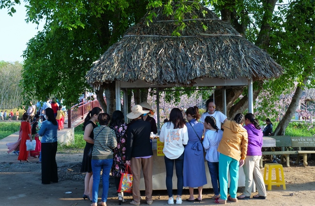 Chùm ảnh mồng bốn Tết tại chùa Tây Pháp