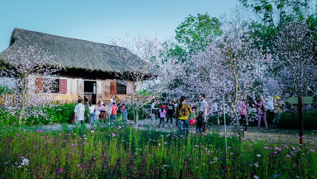 Chùm ảnh mồng bốn Tết tại chùa Tây Pháp