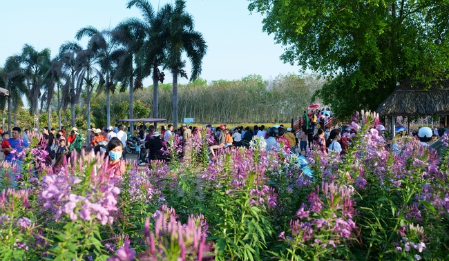 Chùm ảnh mồng bốn Tết tại chùa Tây Pháp