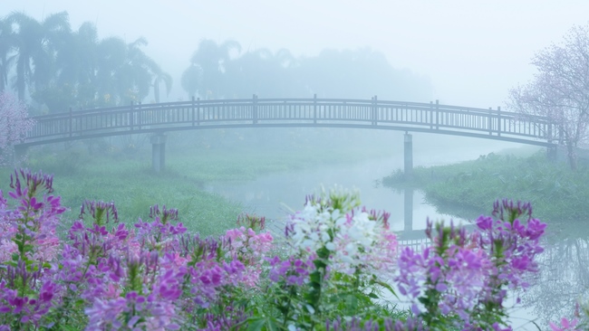 Chùm ảnh mồng bốn Tết tại chùa Tây Pháp