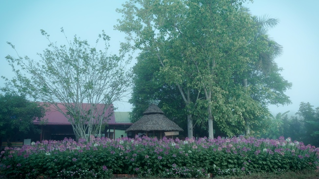 Chùm ảnh mồng bốn Tết tại chùa Tây Pháp