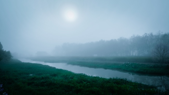 Chùm ảnh mồng bốn Tết tại chùa Tây Pháp