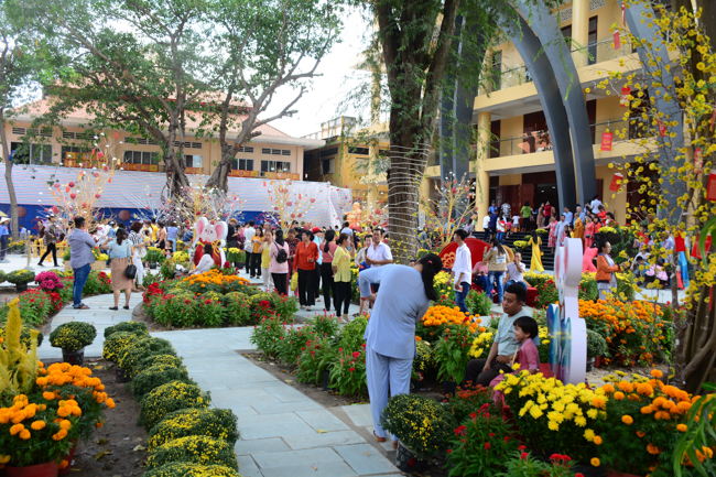 Series of photos on the 4th day of Tet Holiday