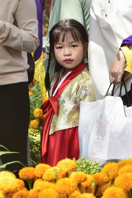 Series of photos on the 5th day of Tet Holiday