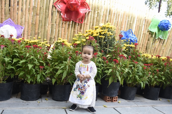 Series of photos on the 5th day of Tet Holiday