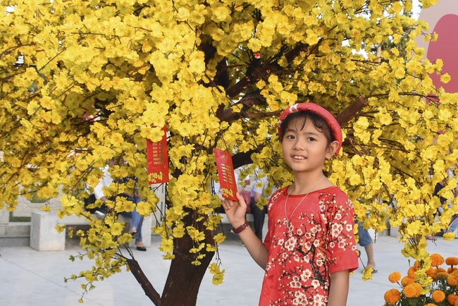 Series of photos on the 5th day of Tet Holiday