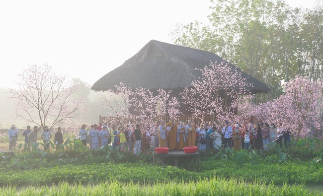 Chùm ảnh mồng năm Tết tại chùa Tây Pháp