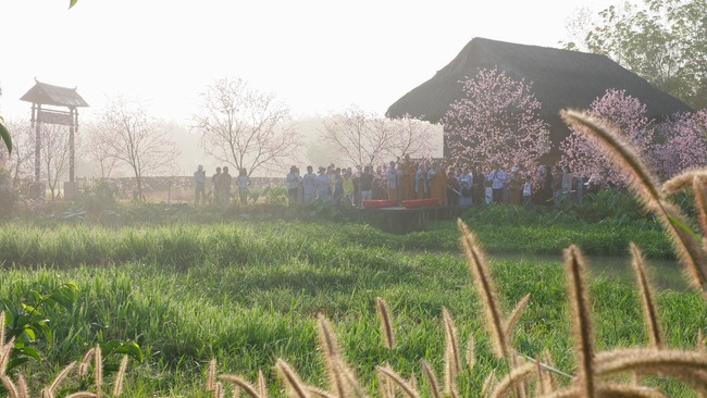 Chùm ảnh mồng năm Tết tại chùa Tây Pháp