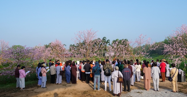 Chùm ảnh mồng năm Tết tại chùa Tây Pháp