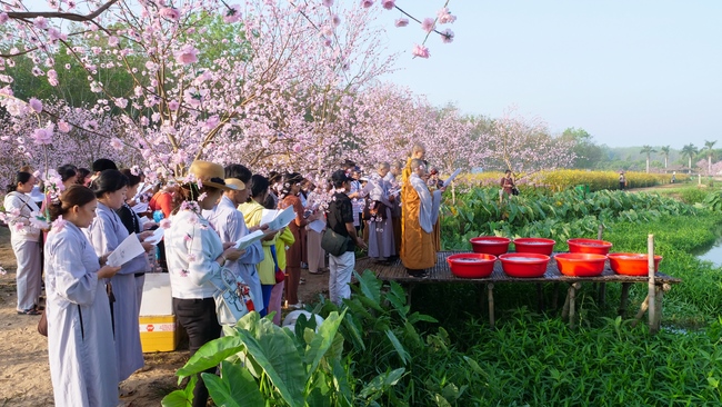 Chùm ảnh mồng năm Tết tại chùa Tây Pháp