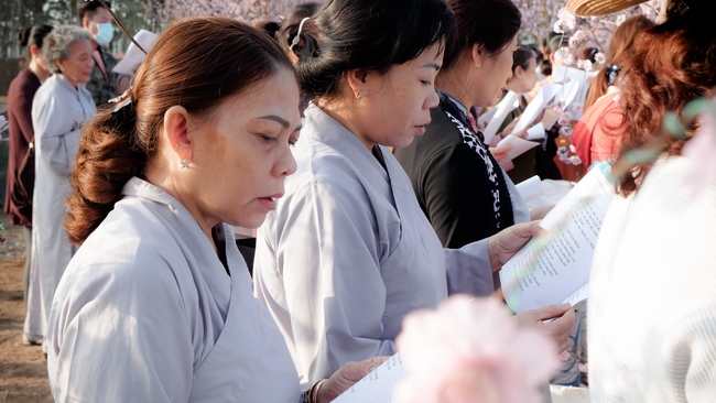 Chùm ảnh mồng năm Tết tại chùa Tây Pháp